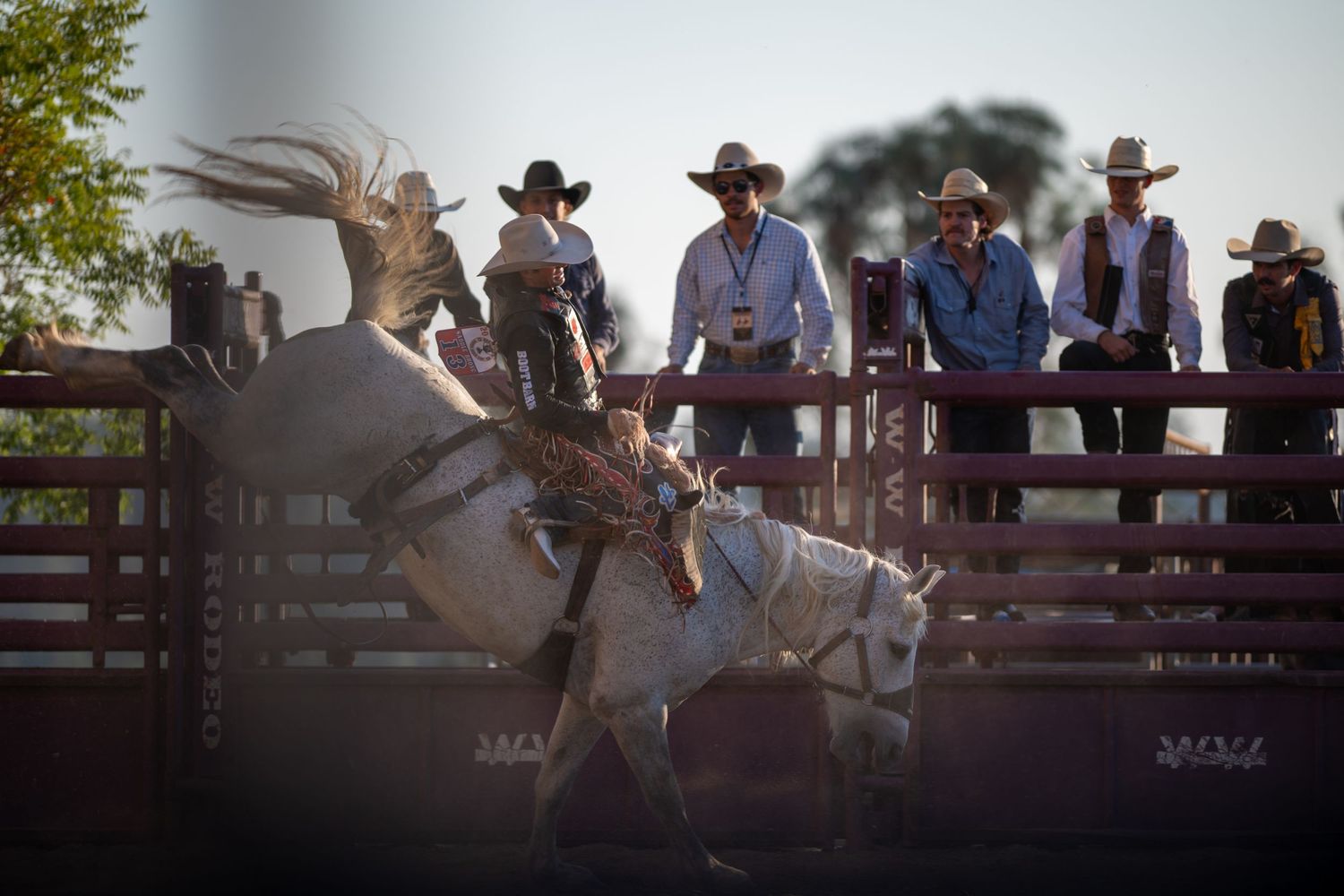 A rodeo rider attempts to stay mounted on a bucking bronco while spectators watch from behind a wooden fence.