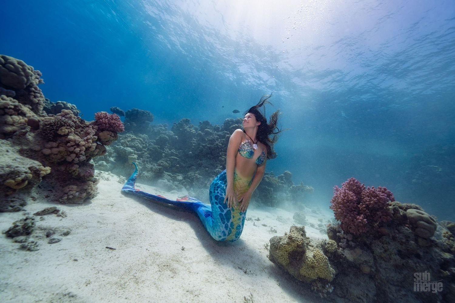 Scuba divers explore vibrant coral reefs in crystal clear turquoise waters under bright sunlight beams.