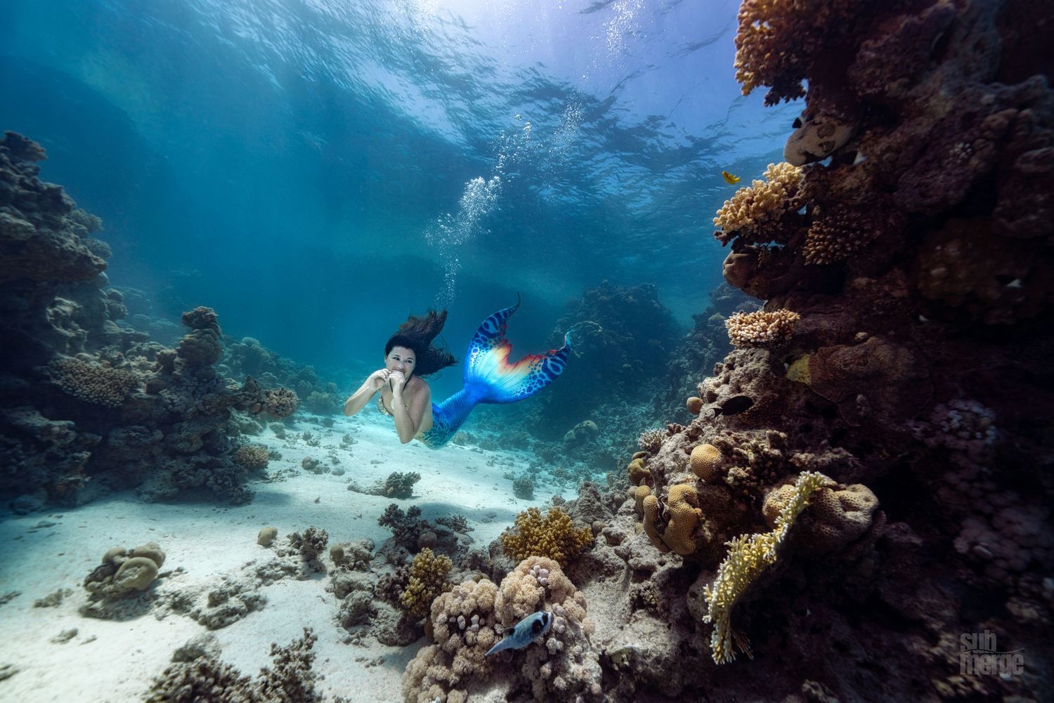 Snorkelers exploring vibrant coral reefs and sea life in crystal clear turquoise tropical waters.