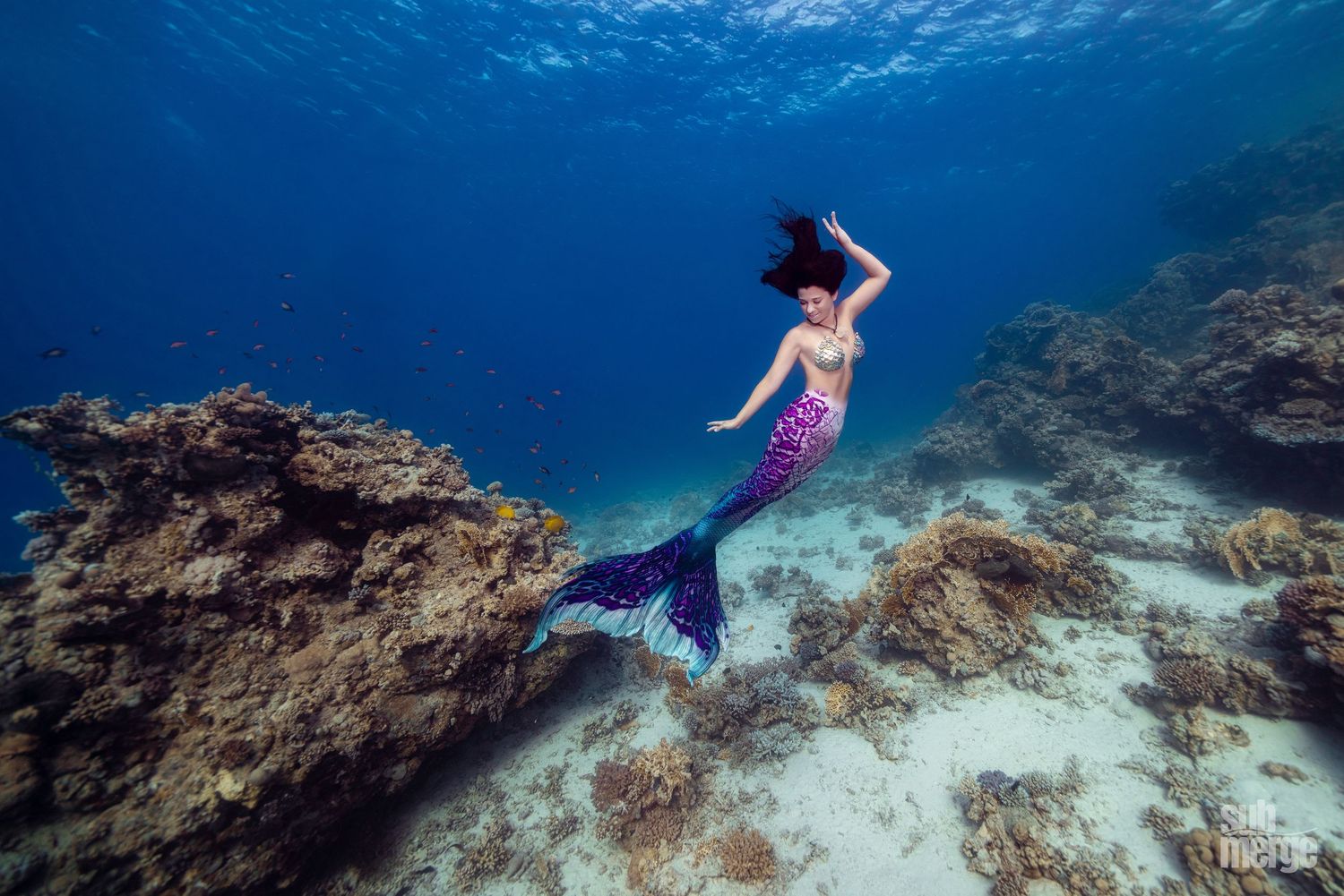 Free divers explore vibrant coral reefs in turquoise waters while wearing colorful fins and diving equipment.
