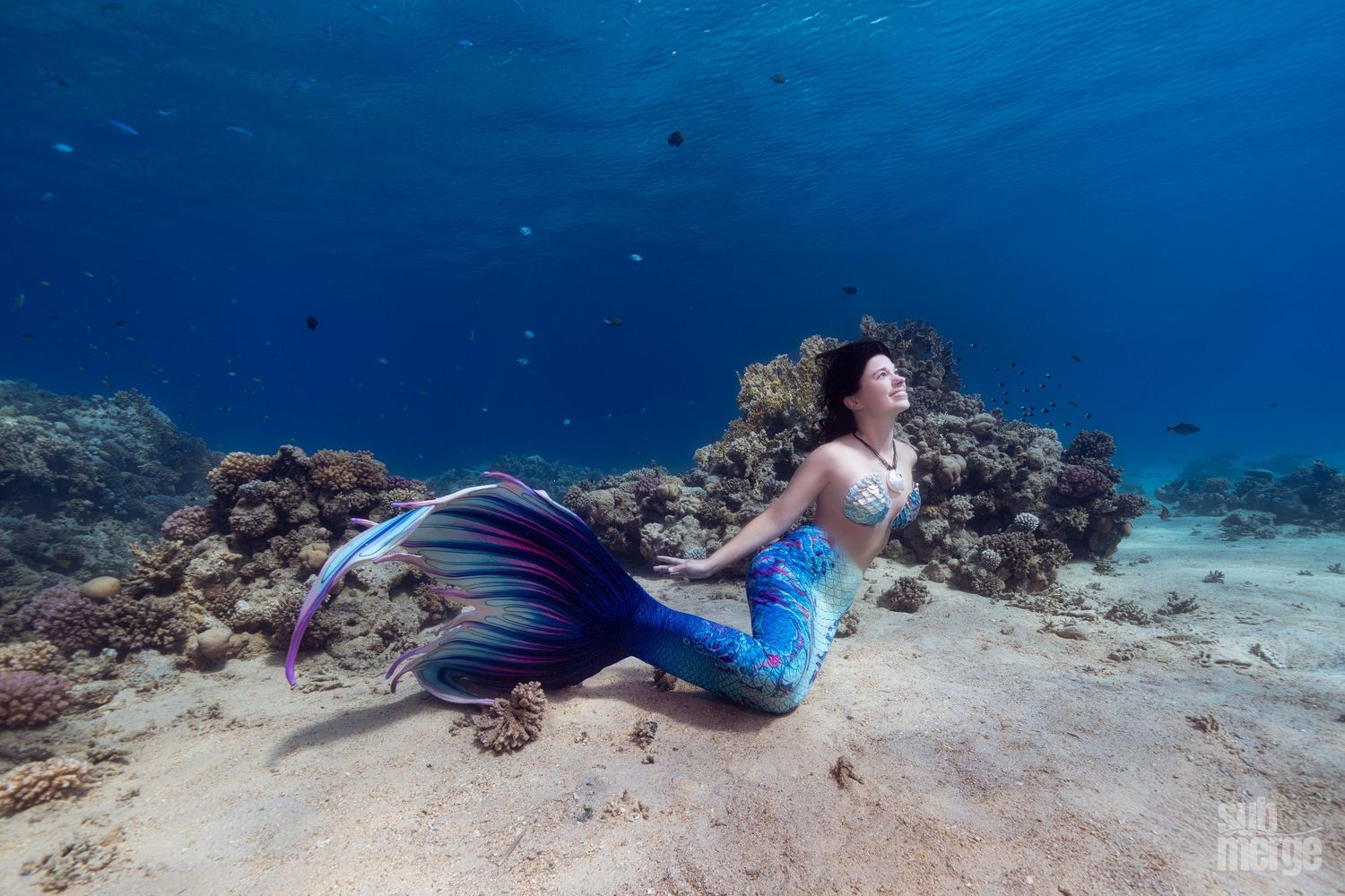 Underwater divers explore a vibrant coral reef with rocky formations in crystal clear blue ocean waters.