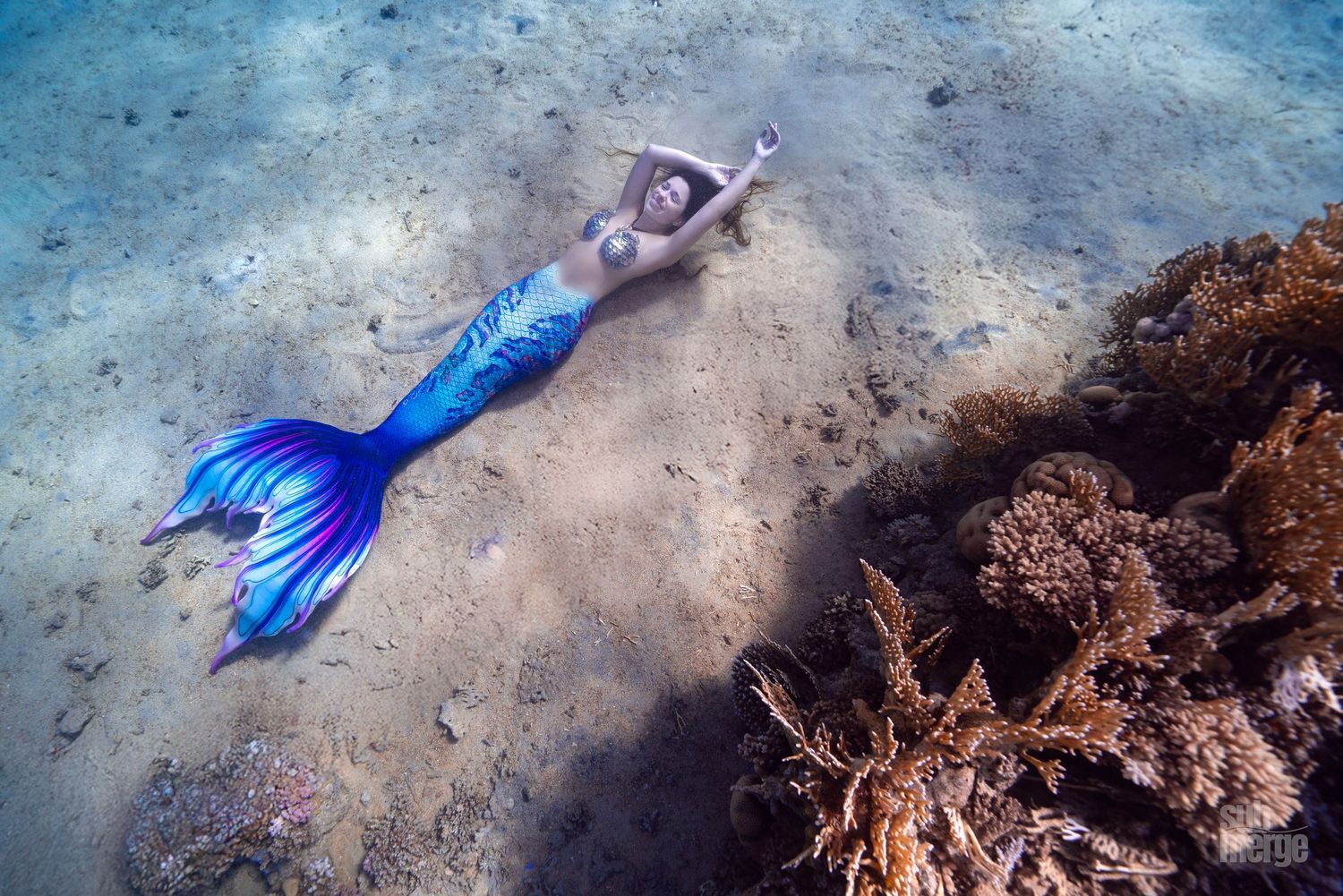 A bright blue mermaid tail figurine is photographed underwater against a rocky seabed backdrop.