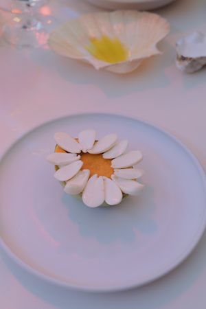 A delicate white flower shaped garnish rests on a pristine white plate in soft lighting.