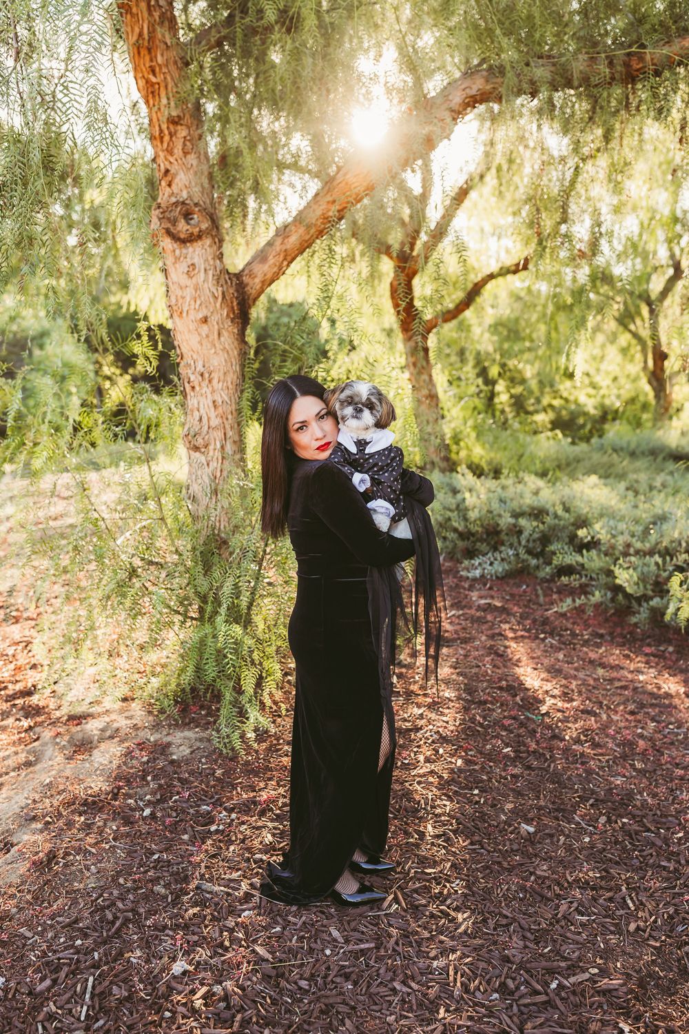 A small dog wearing dressy clothes is held in a sunny wooded area with dappled light filtering through trees.