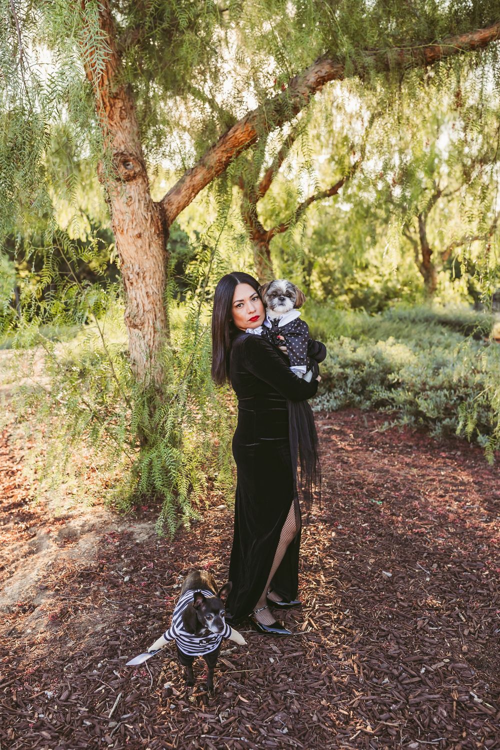 Outdoor fashion photoshoot featuring elegant black clothing and a small dog among pine trees and fallen leaves.