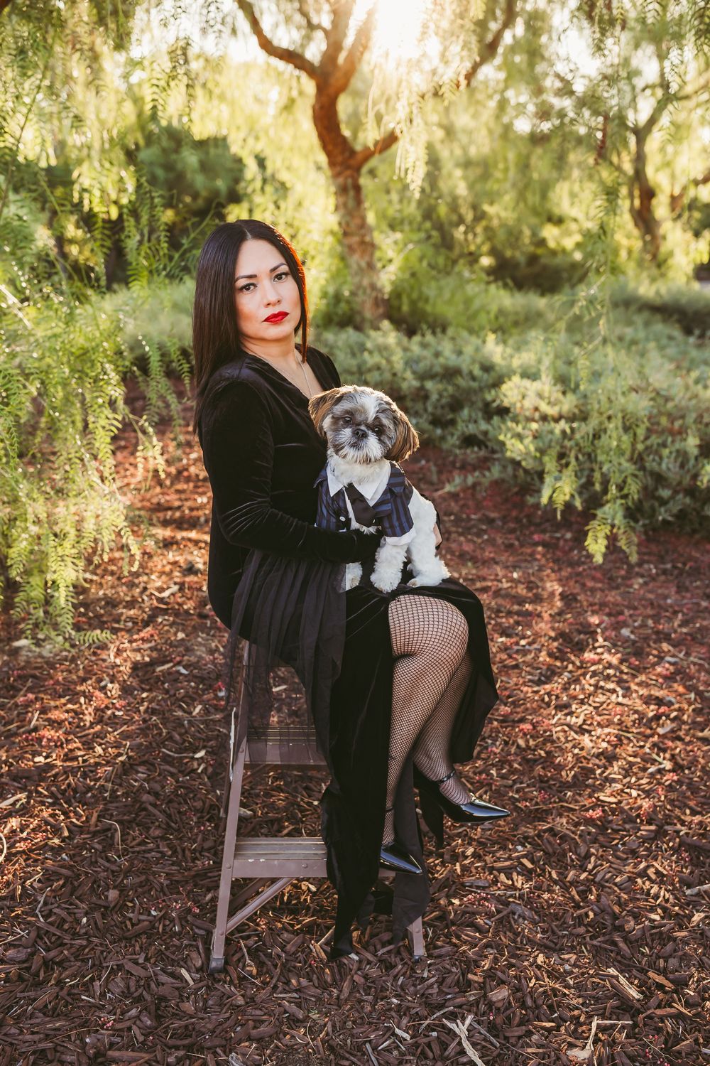 A pet photoshoot in a garden setting shows a small dog with its owner on a wooden chair.