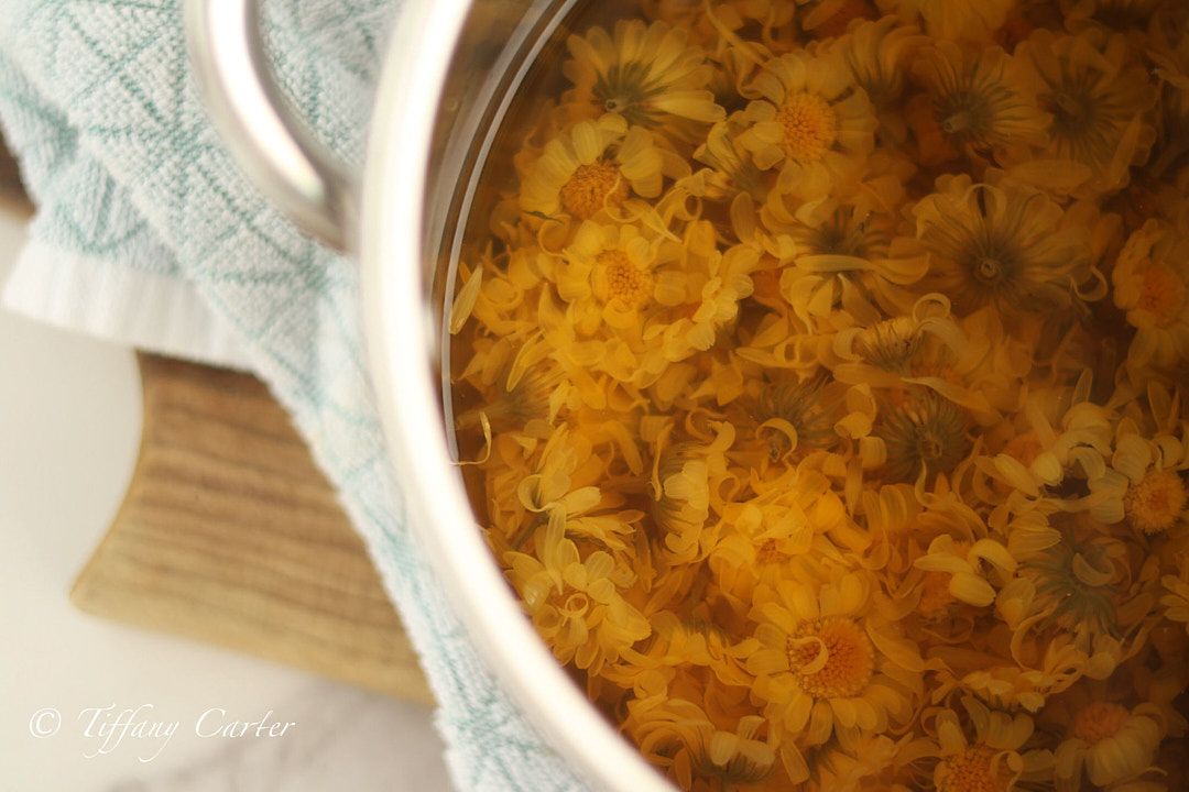 Herbal calendula after blooming in water
