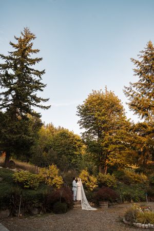 Forest wedding photography session at sunset showcases evergreen trees with autumn colors creating a romantic backdrop.