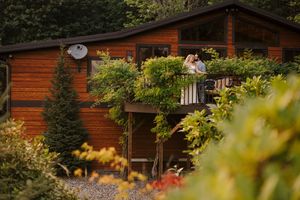 Rustic wooden cabins nestled among lush green trees at a tranquil forest retreat location.