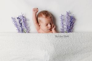 Artistic newborn portrait with purple flowers on white textured background.