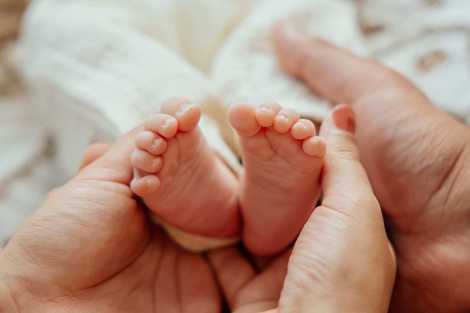 Parents hands gently cupping tiny newborn baby feet on white soft blanket  in a lifestyle studio in Vancouver.