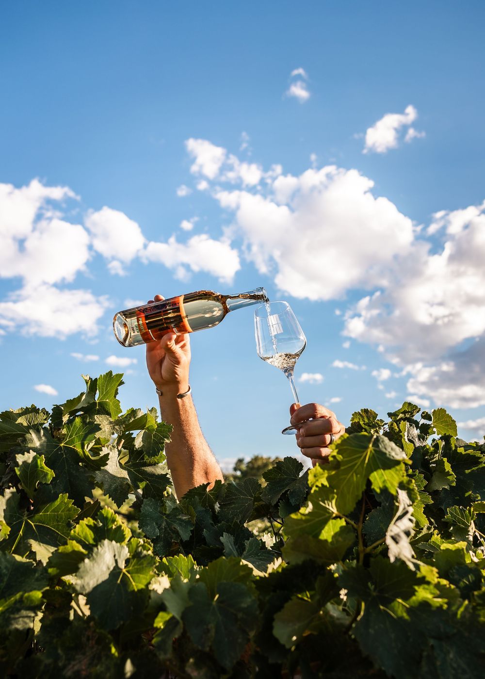 Hands emerging from lush vineyard holding a wine bottle pouring into a glass against a blue sky.