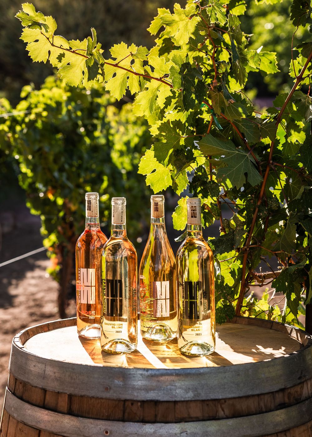 Four wine bottles displayed on a wooden barrel in a sunlit vineyard with lush green grapevines in the background.
