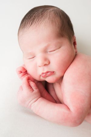 Newborn Photographer Jacksonville Fl