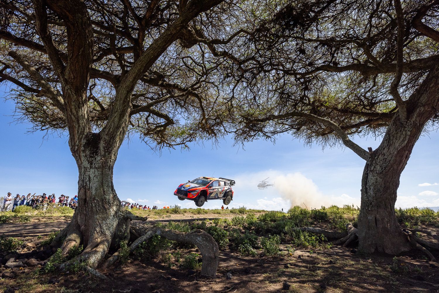 Rally car jumping between two trees with spectators watching from hill.