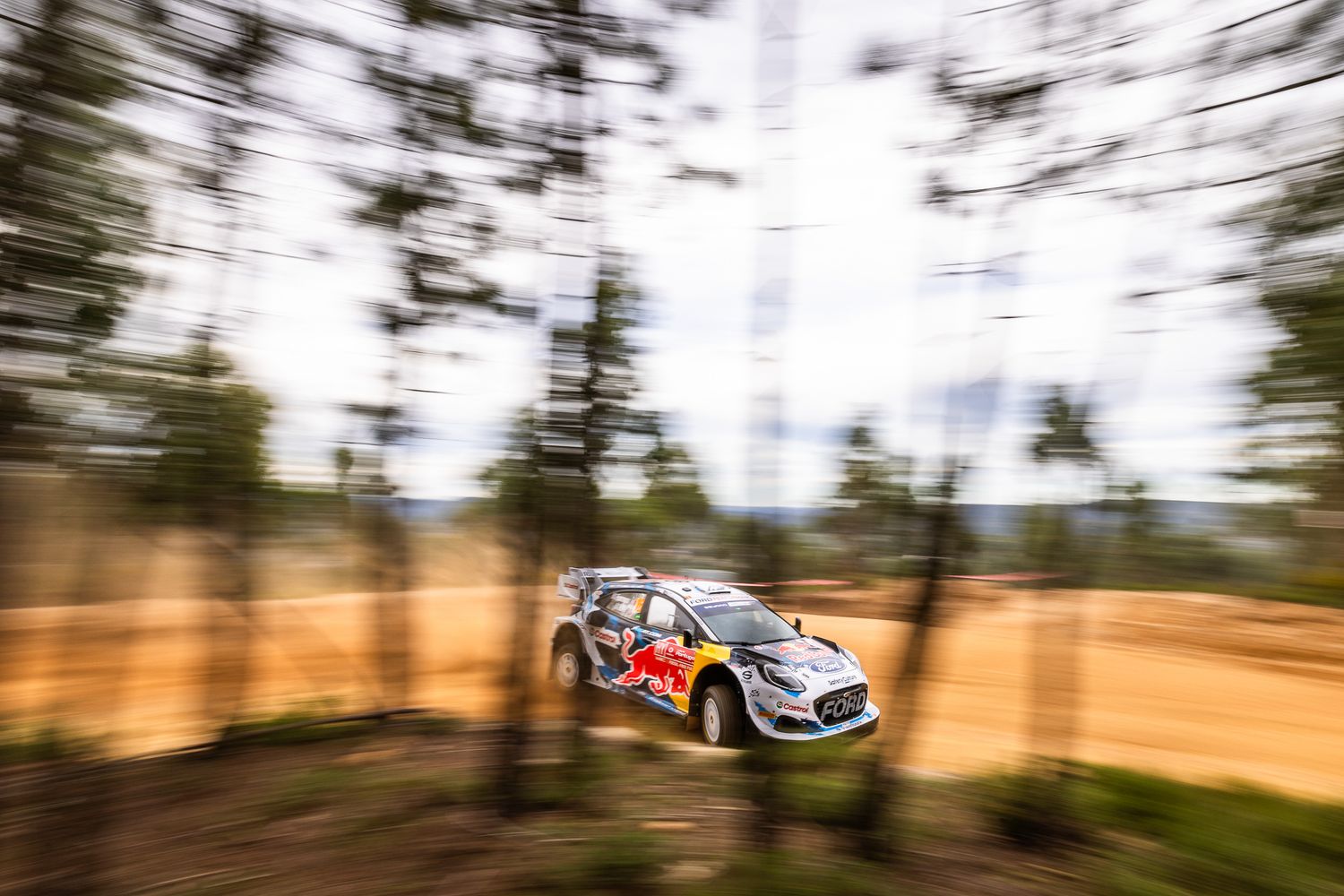 Rally car races through pine forest creating motion blur effect during high-speed competition.