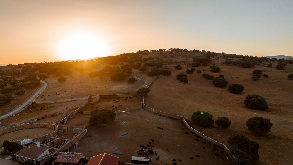 Aerial view of a rural landscape with winding roads at golden hour.