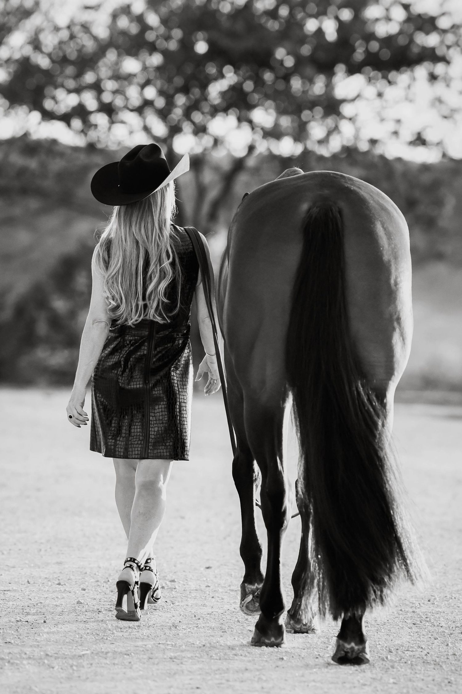 Black and white series showing person walking alongside horse on dirt path.