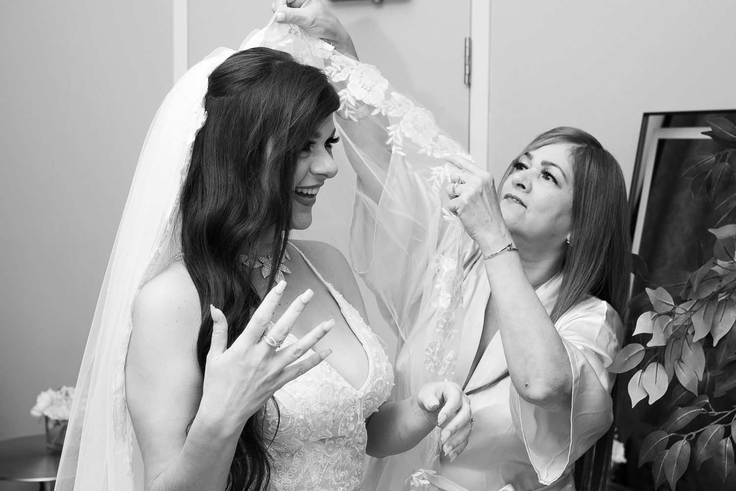 Wedding pictures