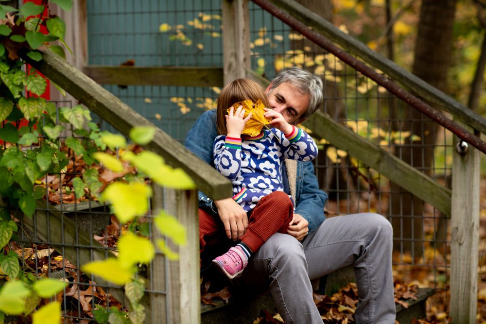 Autumn outdoor scene on wooden steps surrounded by yellow leaves and foliage.