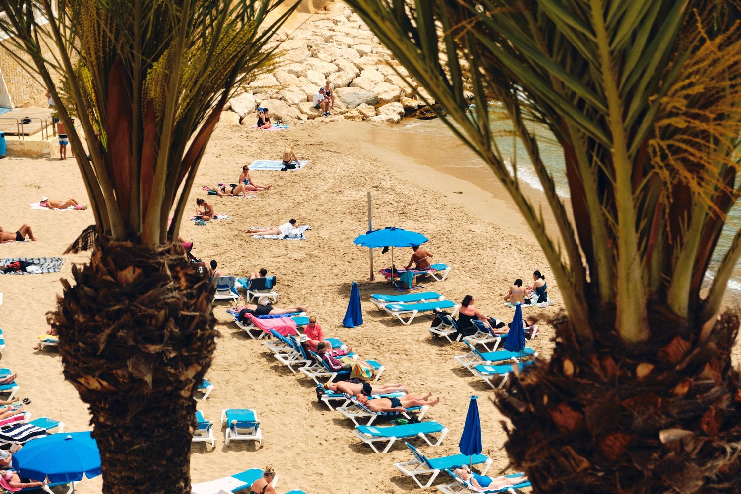 Palm trees frame a crowded beach scene with blue loungers and umbrellas scattered across golden sand.
