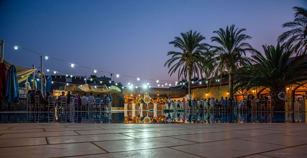 Evening plaza with illuminated palm trees and decorative lights creating a magical atmosphere.