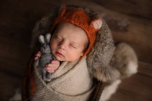 Newborn baby boy with fox bonnet holding bunny toy