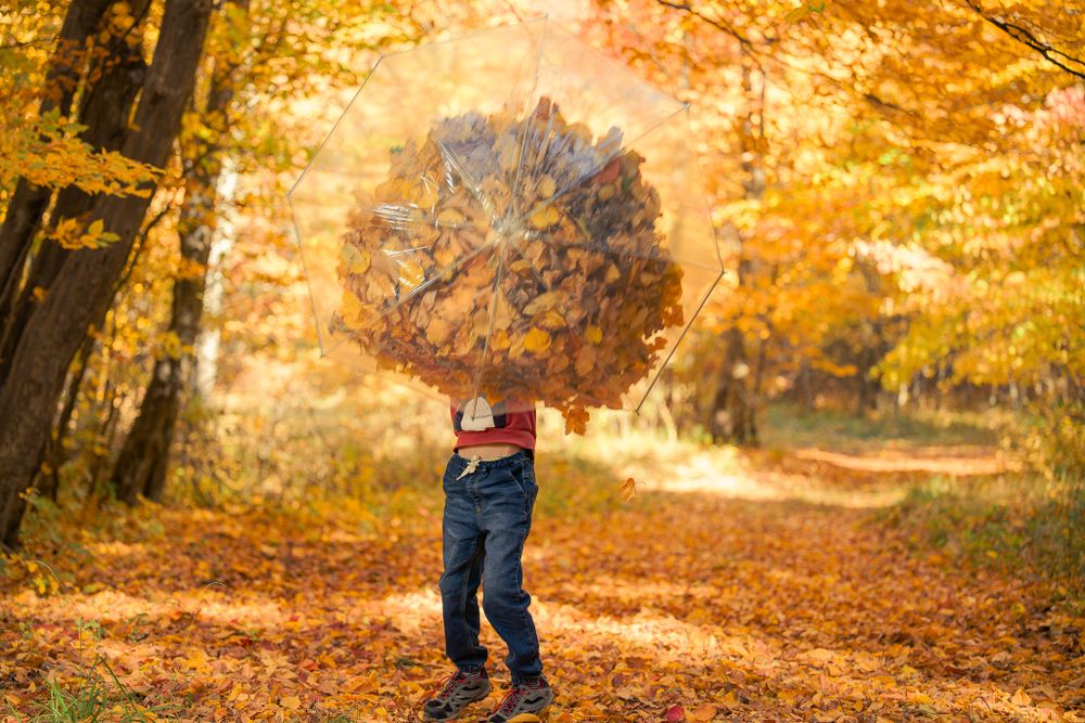 Child playing with pile of autumn leaves in park with golden foliage backdrop.