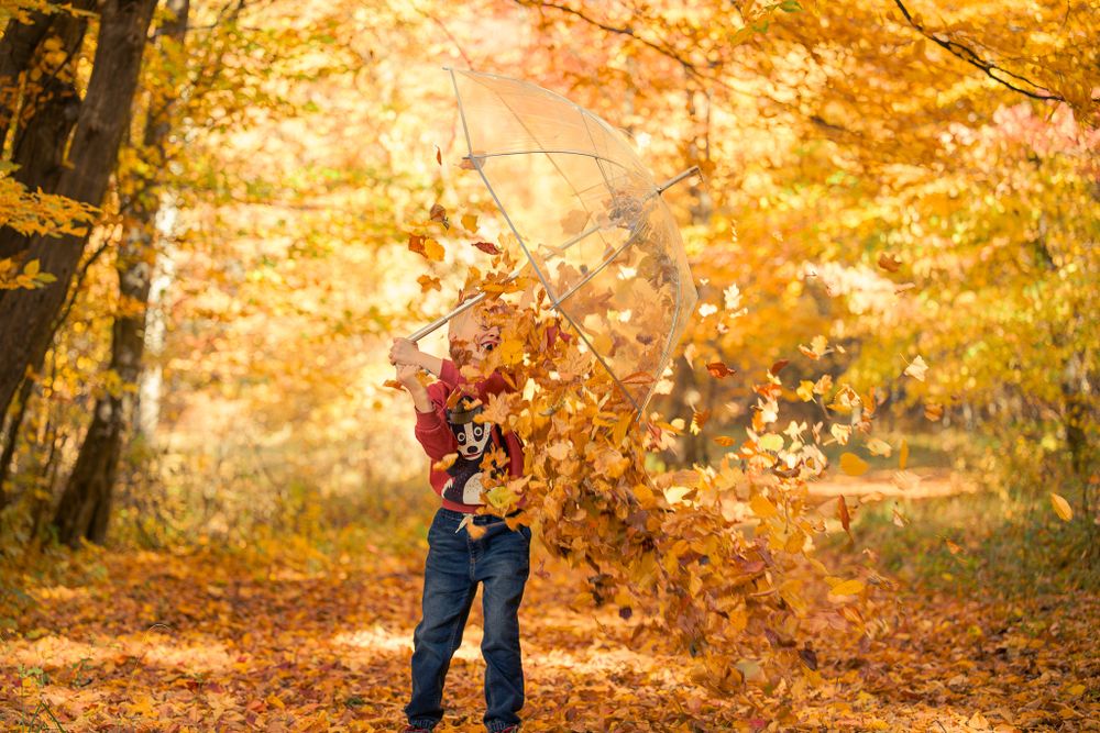 Person tossing fallen leaves in air creating shower of autumn colors in wooded park.