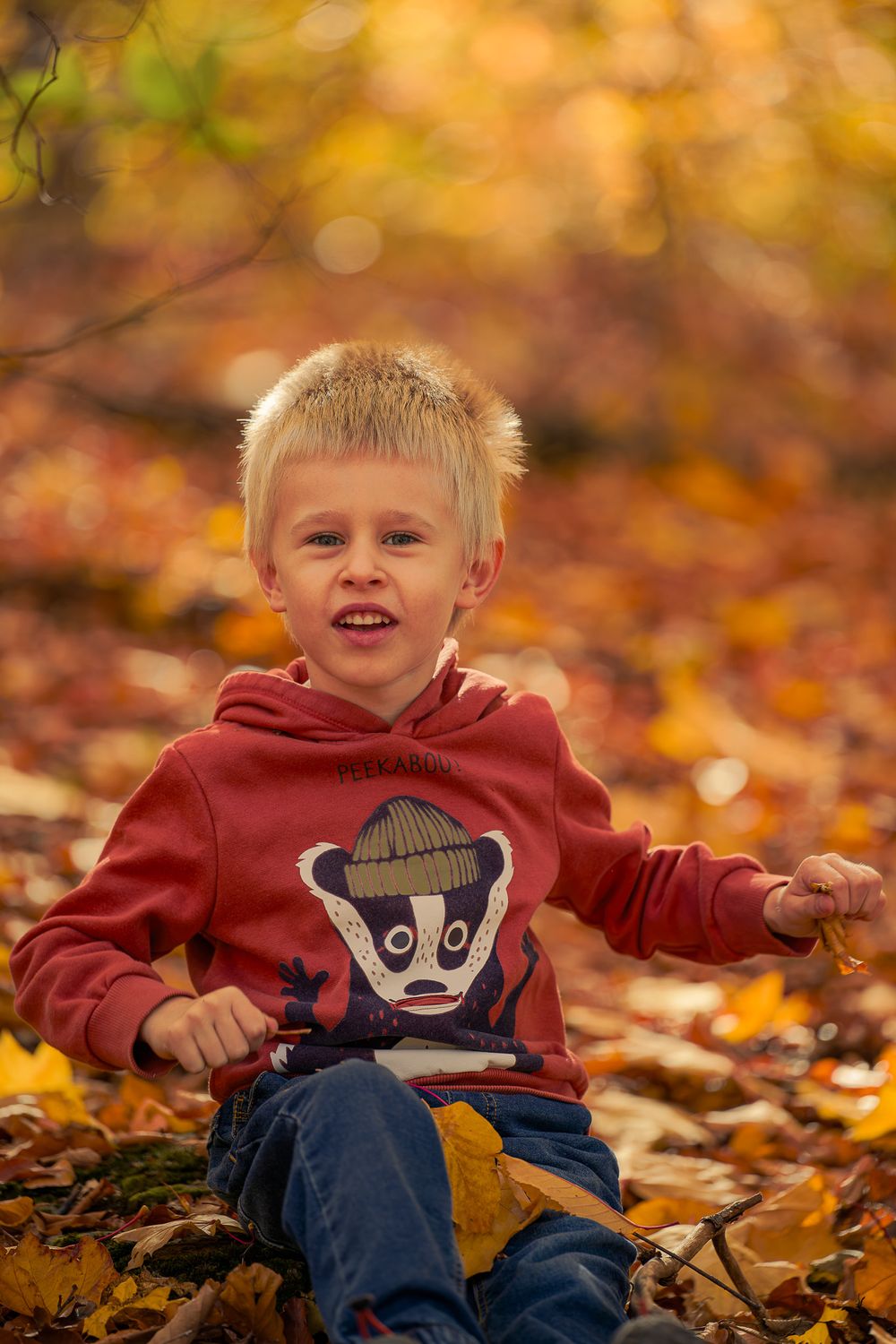 Young child sits on fall leaves wearing red hoodie with cartoon character design.