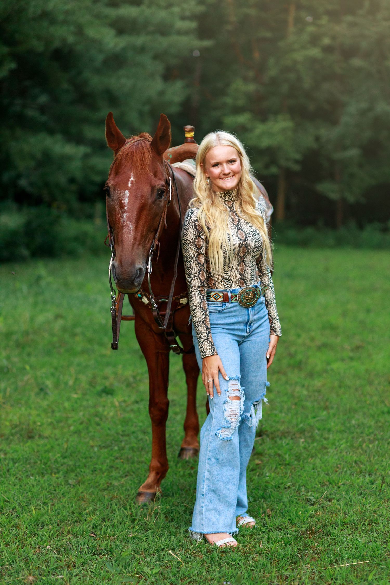 A beautiful blonde high school senior poses proudly in front of her aged, childhood all-around quarter horse