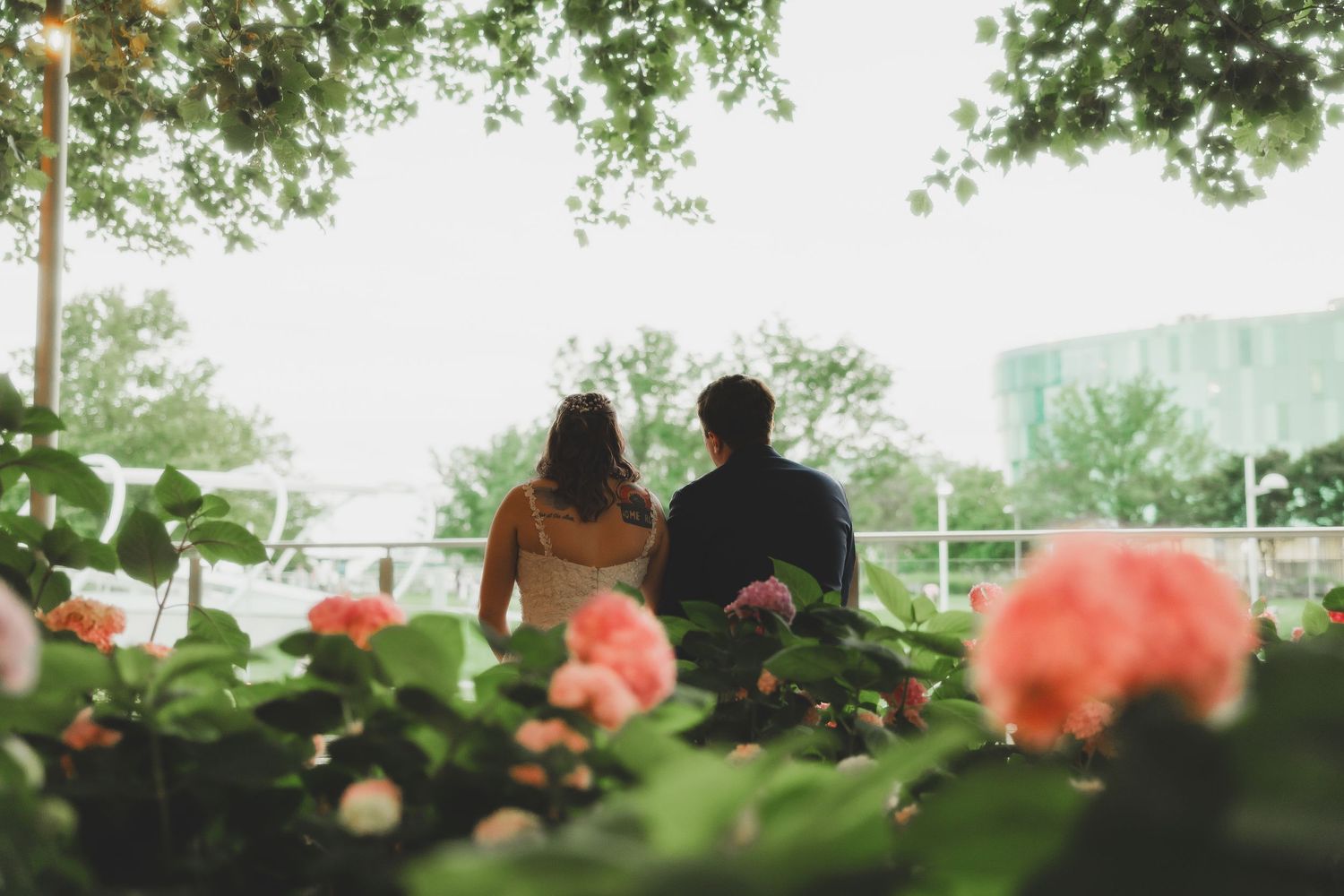 Silhouette of couple sitting among blooming coral roses in garden setting.