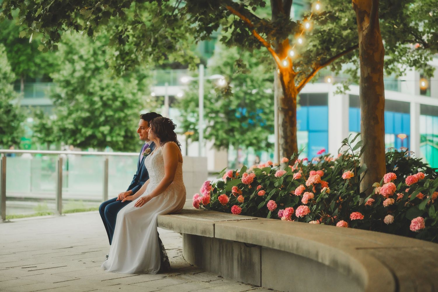 Wedding couple sitting on concrete bench surrounded by blooming pink roses and urban landscaping.