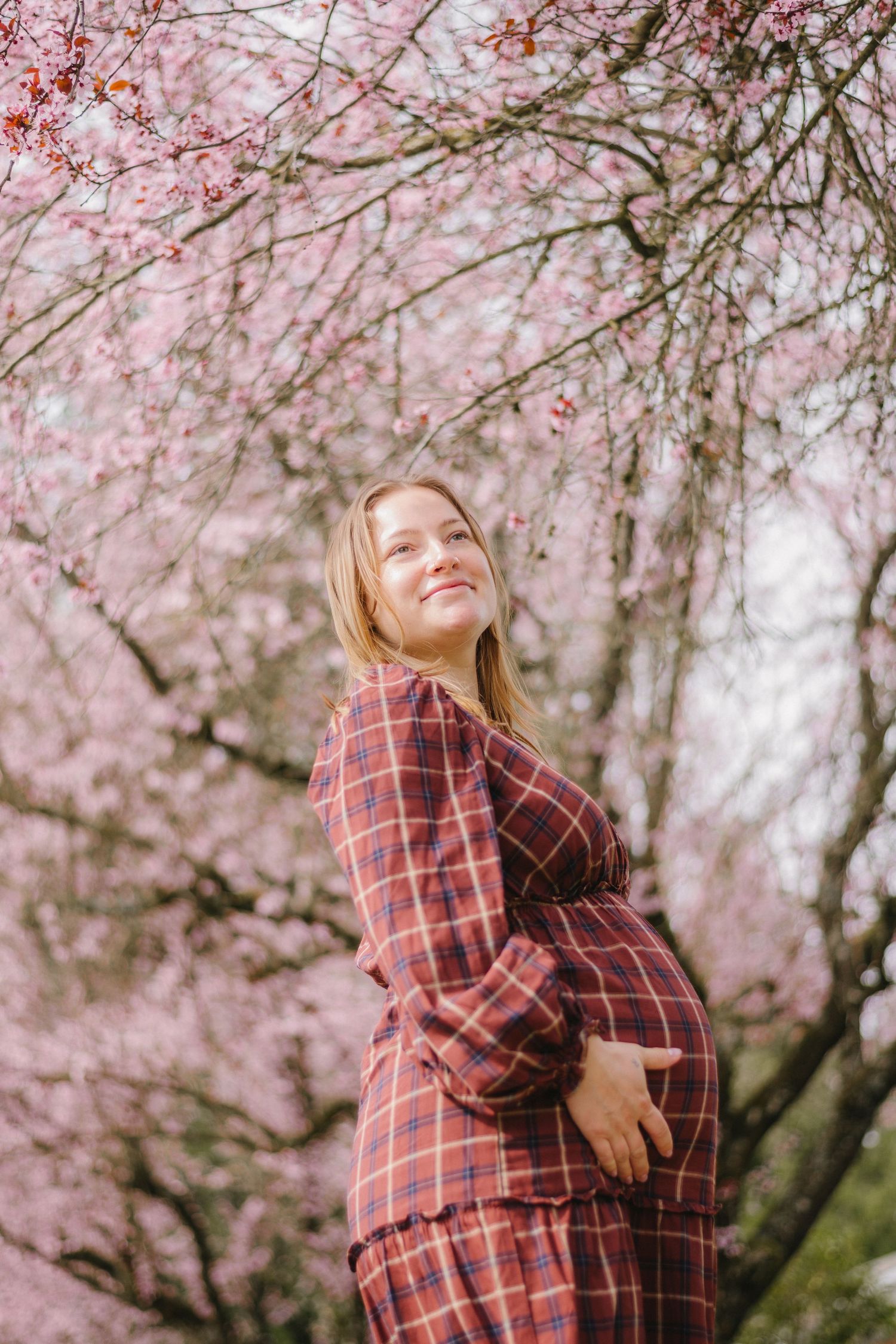 pregnant women surrounded by cherry blossoms
