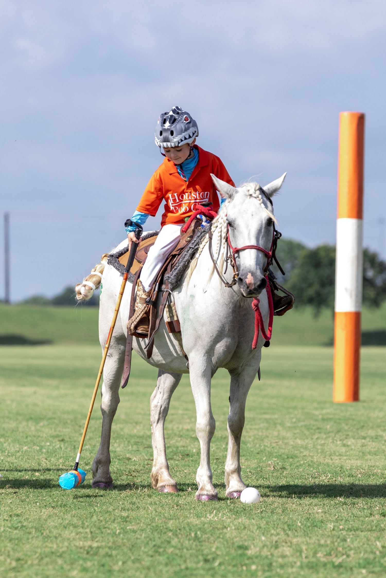 Jr Polo