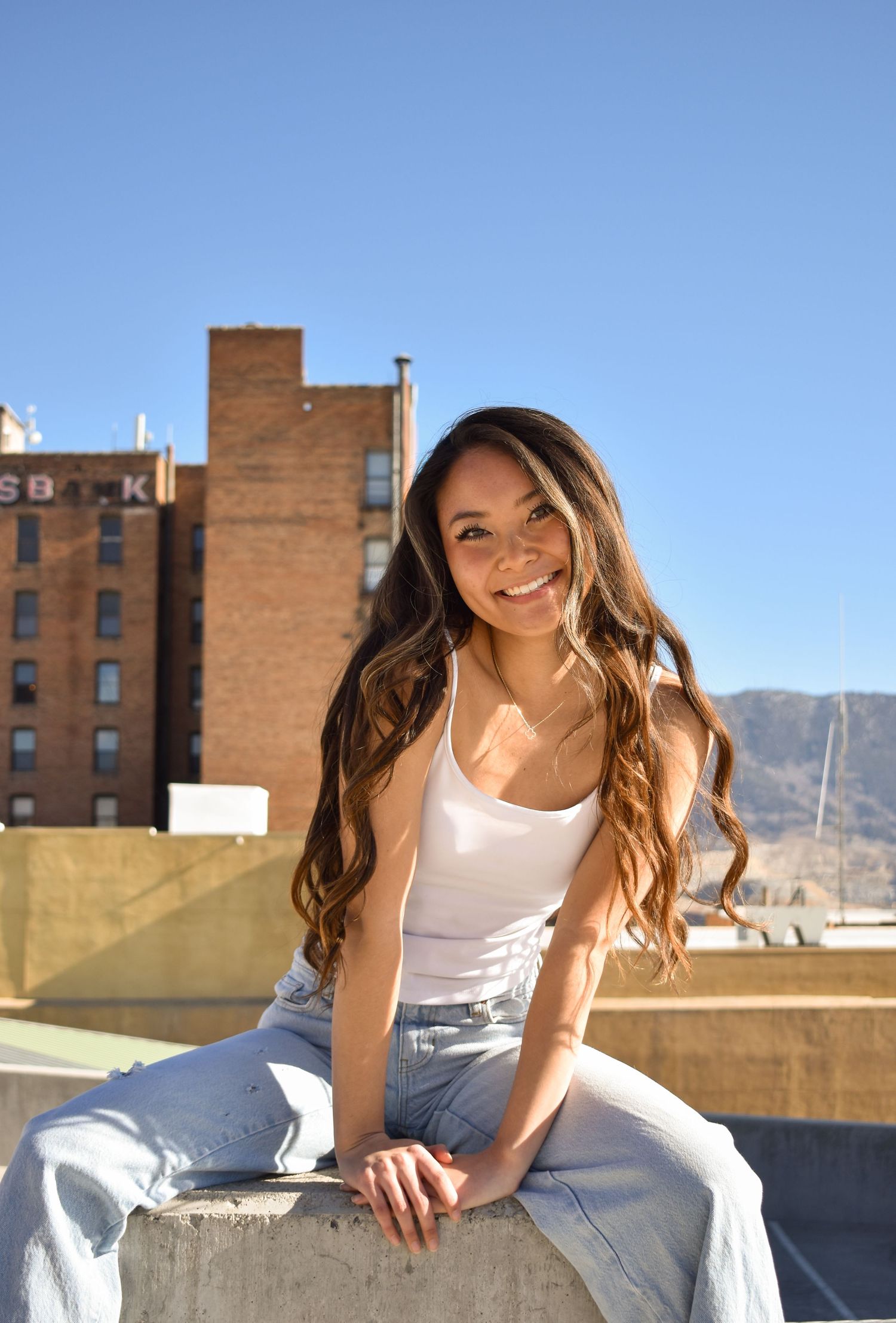 modeling
