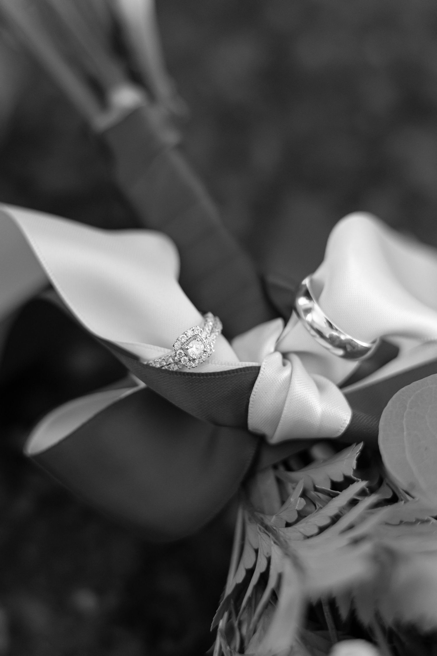 Wedding rings nestled on white flower petals in an artistic black and white macro shot.