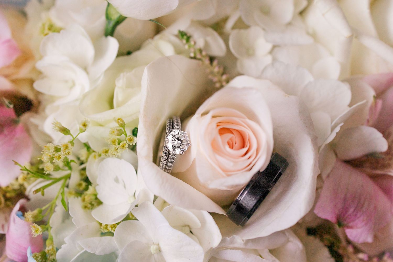 Wedding rings nestled inside a blush pink rose surrounded by white flowers.