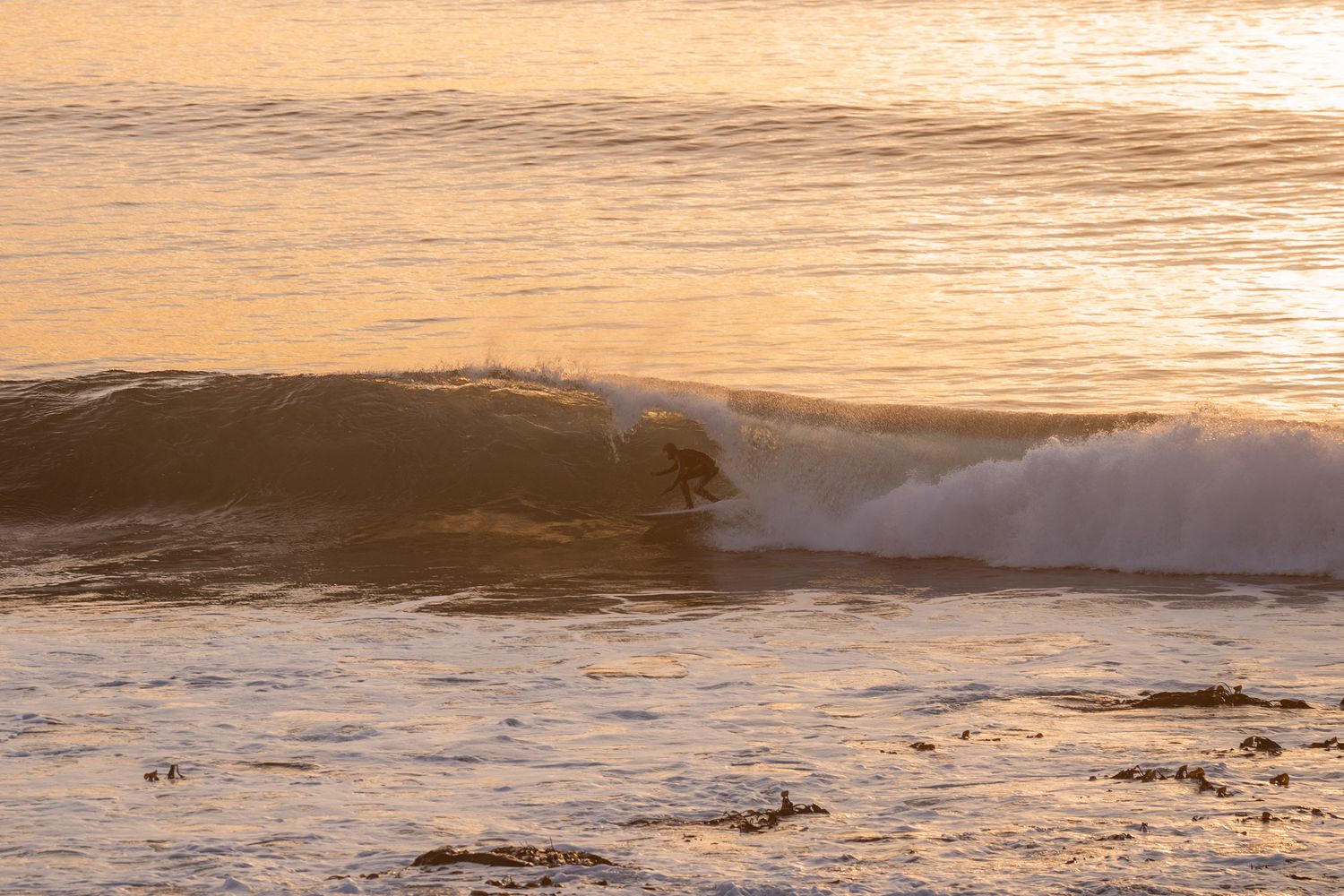 surfeur dans le rouleau de la vague à Unstad dans les lofoten au coucher de soleil pendant l'hiver