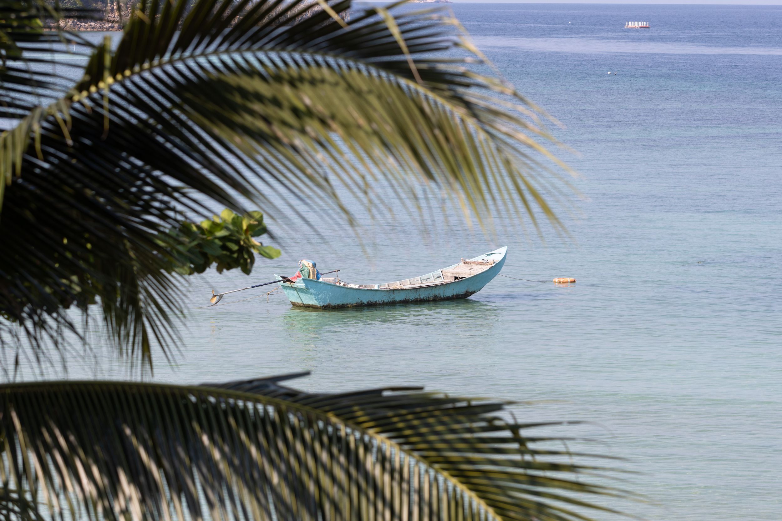 A small blue and white fishing boat anchored in calm turquoise waters framed by palm fronds.
