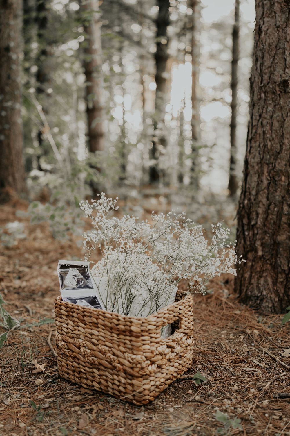 Woven basket with dried baby's breath flowers and vintage items sits on forest floor surrounded by tall pine trees.