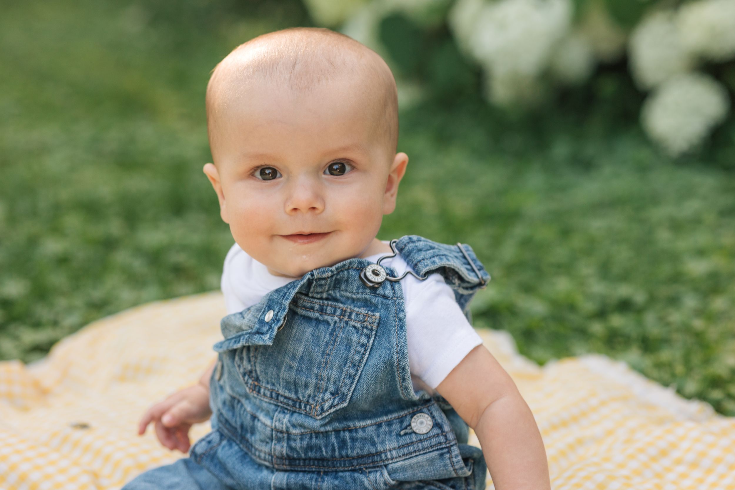 6 month portraits