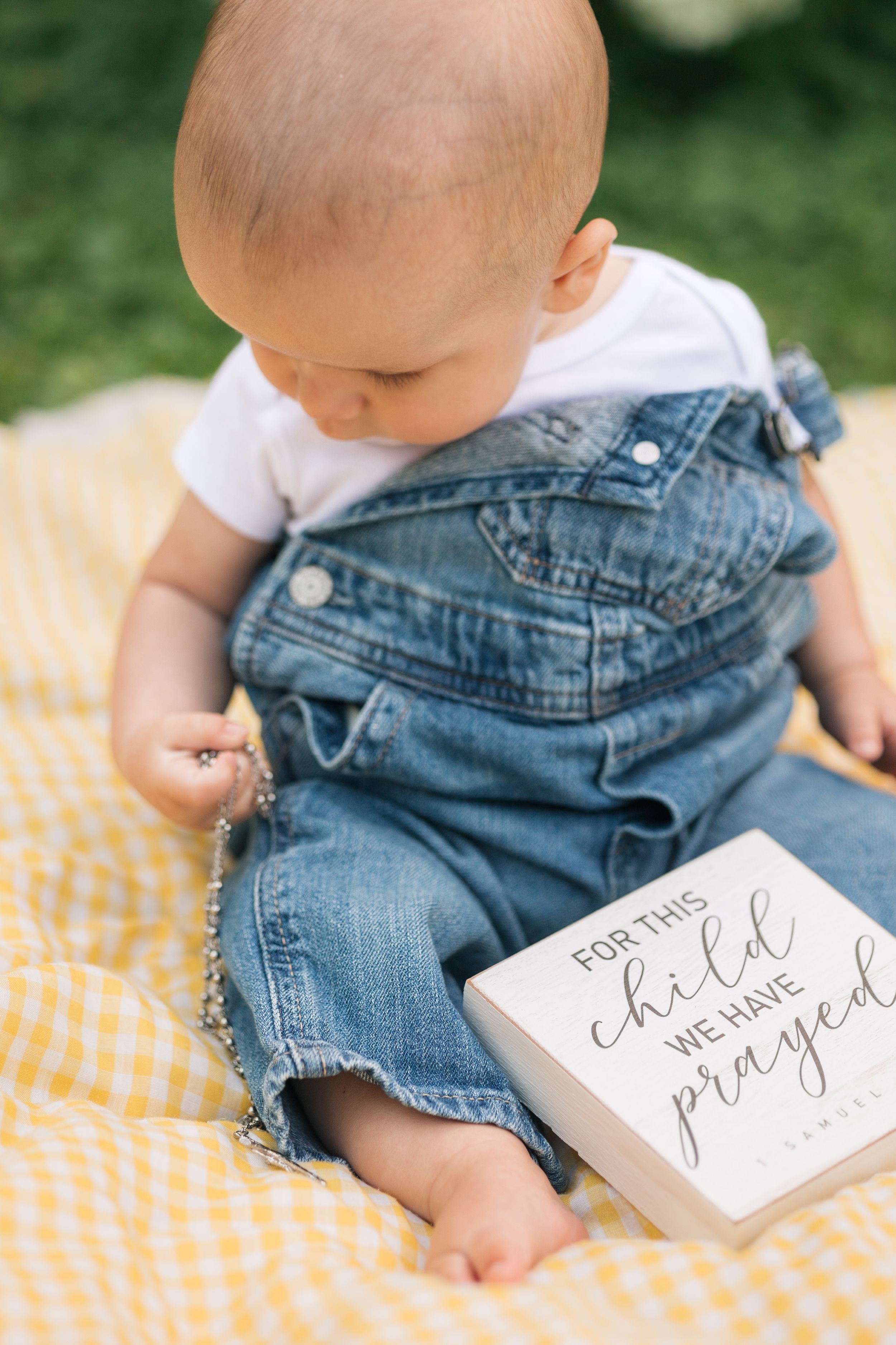 6 month portraits