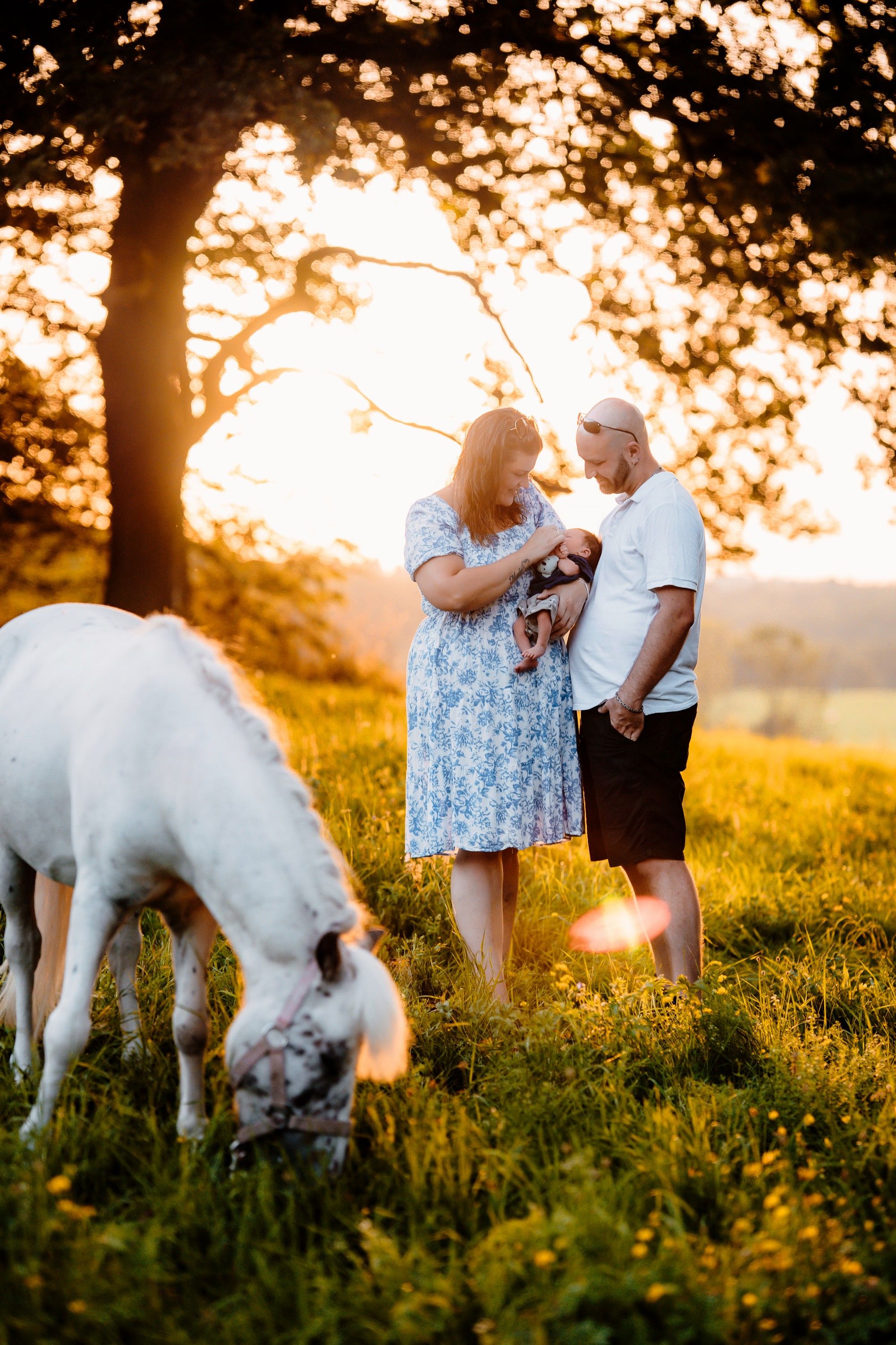 A couple enjoying a summer evening in a golden field while their white dog explores the grass at sunset.