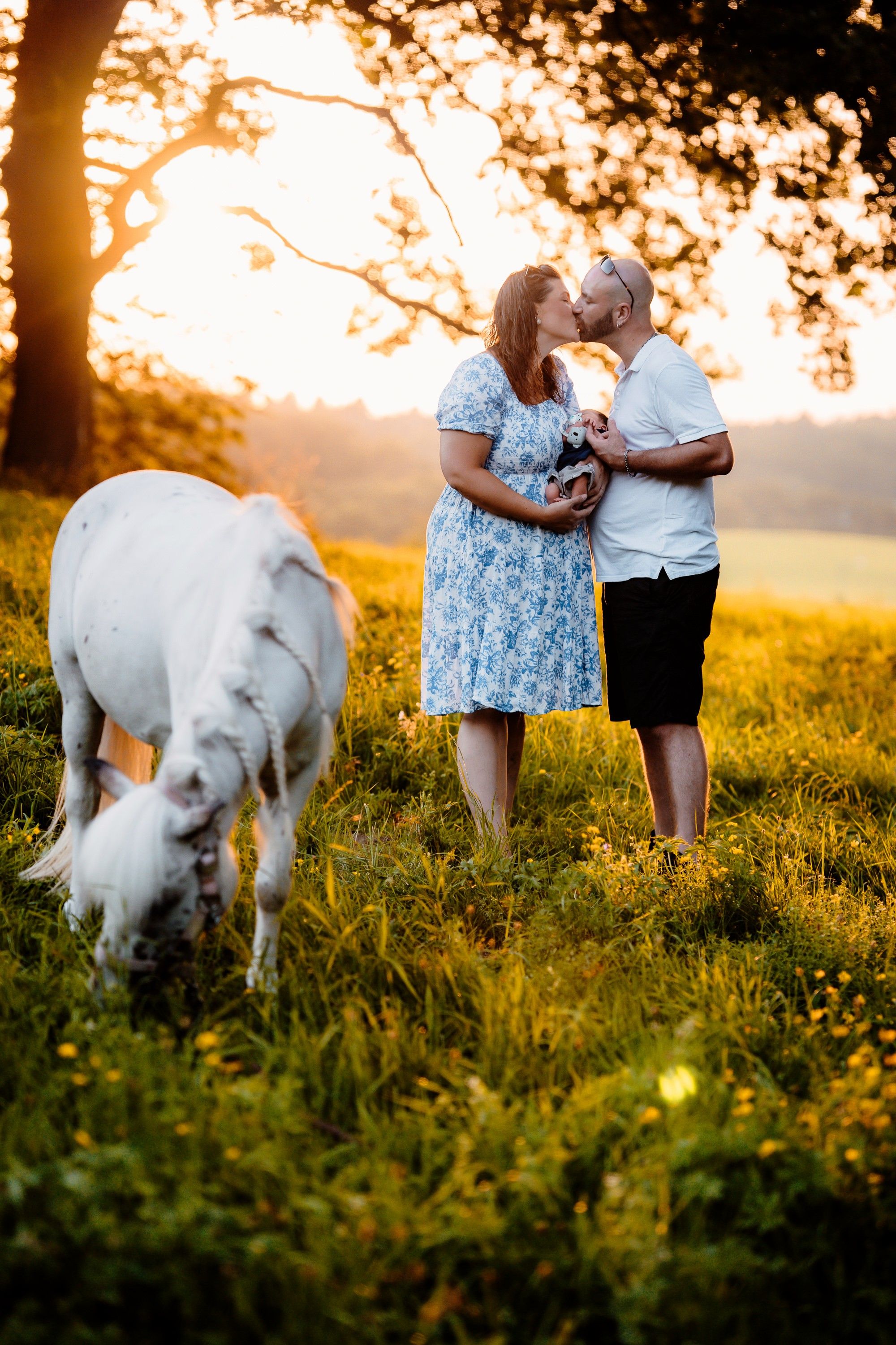 A couple embraces in a golden sunset meadow while a white horse grazes peacefully nearby.