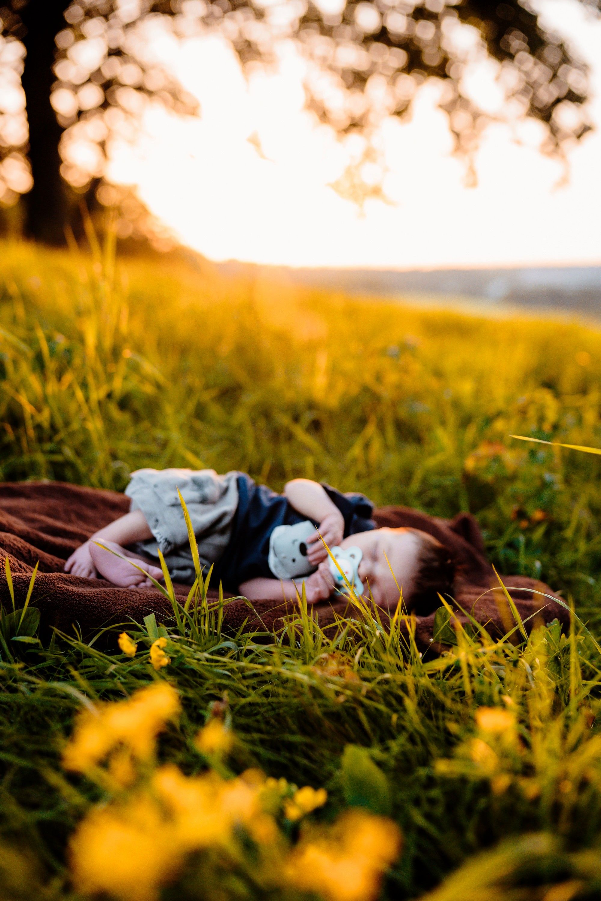 Person lying in soft grass among yellow wildflowers during golden hour sunset creating dreamy summer atmosphere.