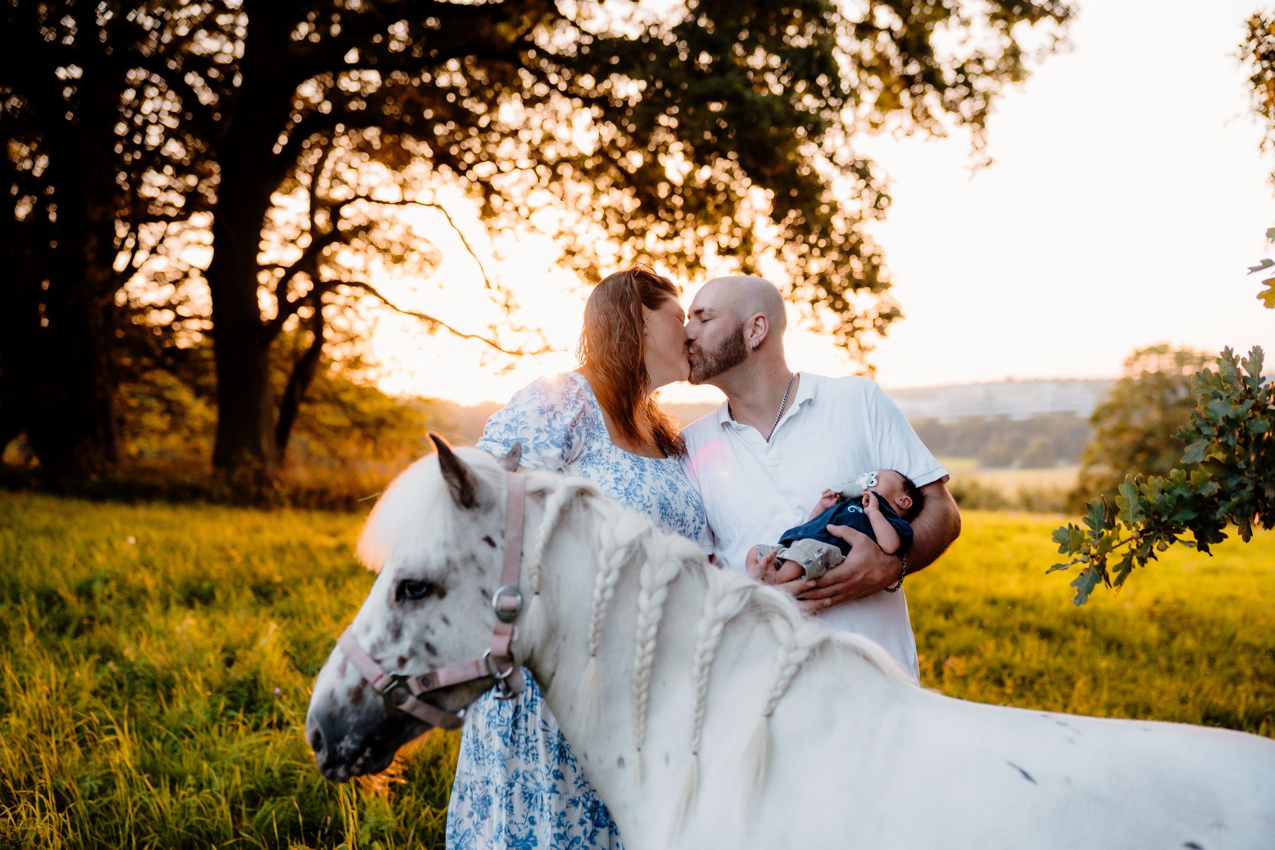A couple sitting in a meadow at sunset shares an intimate moment in nature among tall grass and golden light.