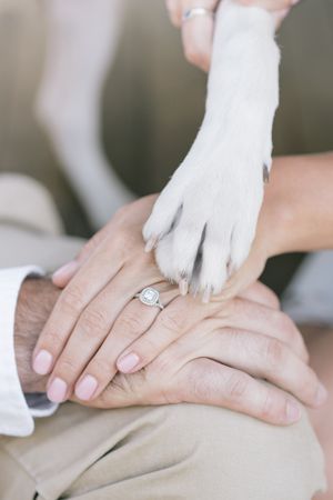 Close-up of couple's hands stacked together with engagement ring and dog paw on top.