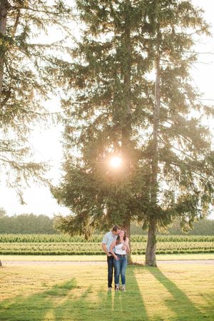 Couple embracing under a large evergreen tree with golden sunlight and cornfields in background.