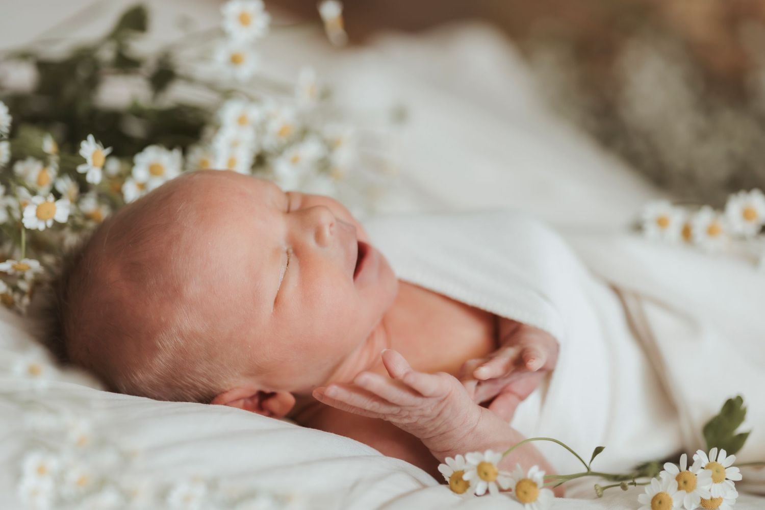 A sleeping newborn swaddled in white surrounded by delicate white flowers.